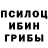 Псилоцибиновые грибы Cubensis GT>FM.