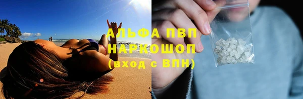 apvp Алзамай